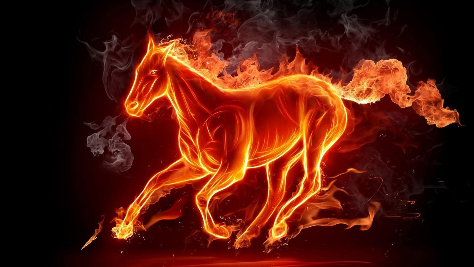 Fire Horse - HD Wallpaper 