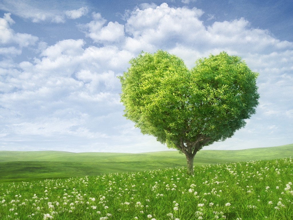 Green Heart Tree - HD Wallpaper 