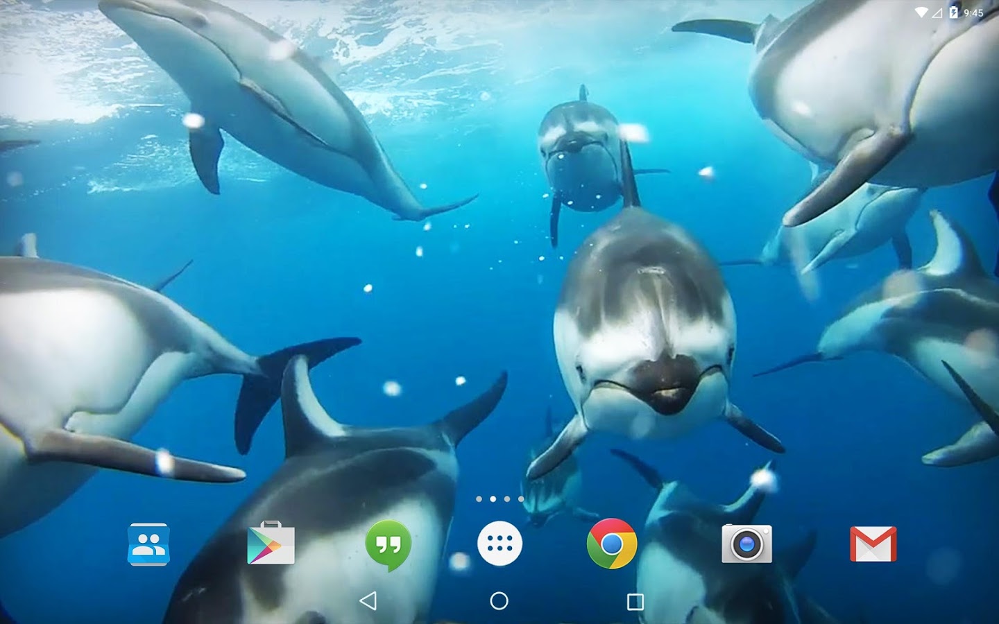 Ocean 3d Dolphin Live Wall - Dolphin Gif - HD Wallpaper 