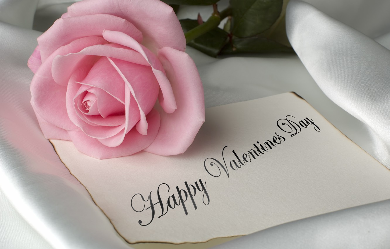 Photo Wallpaper Flowers, Pink, Romance, Rose, Rose, - Rose Happy Valentine Day - HD Wallpaper 