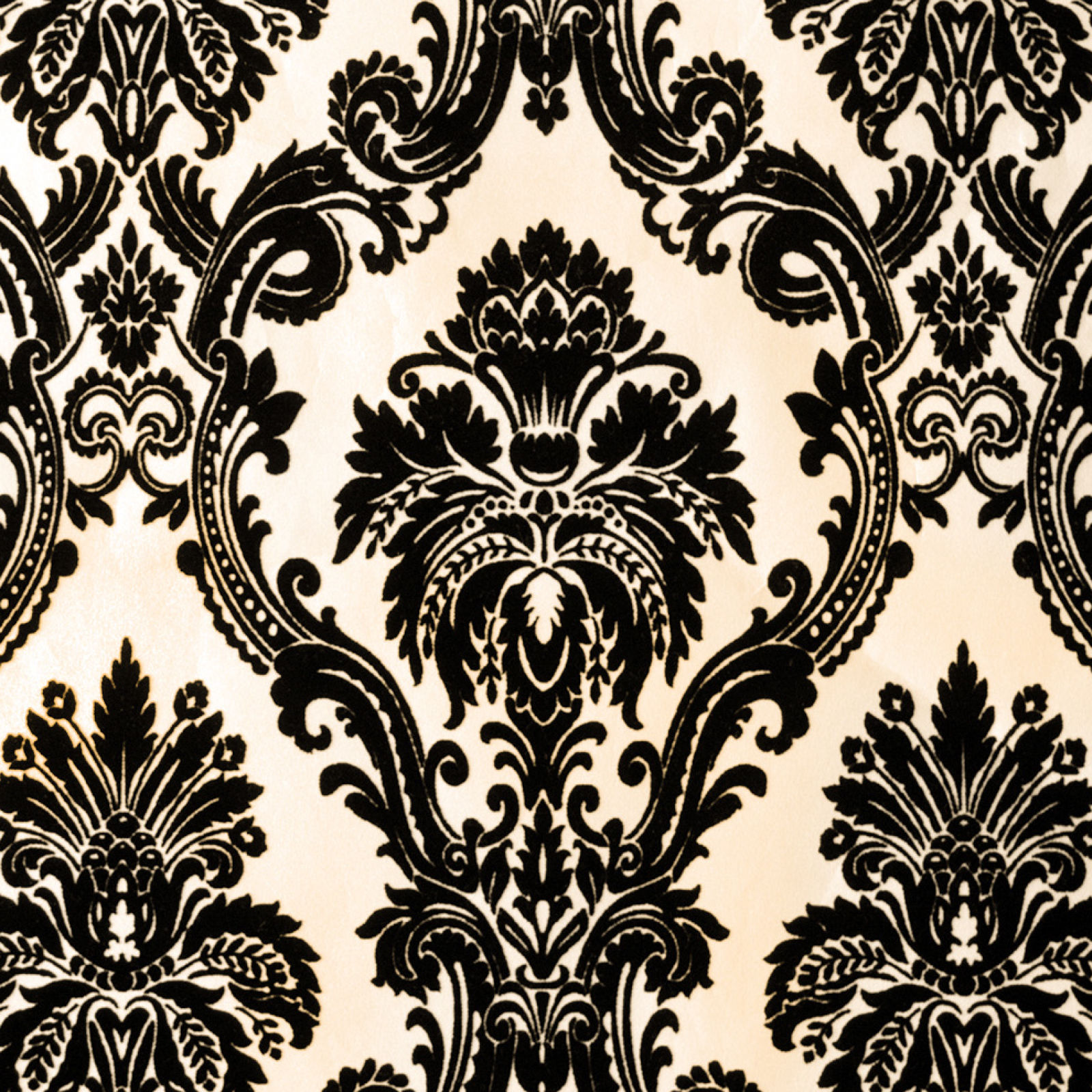 Black And Cream Wallpaper - 1600x1600 Wallpaper 
