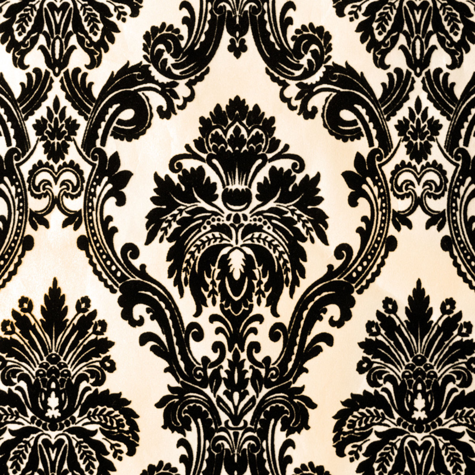 Black And Cream Wallpaper - 1600x1600 Wallpaper Black And Cream Wallpaper - 1600x1600 Wallpaper