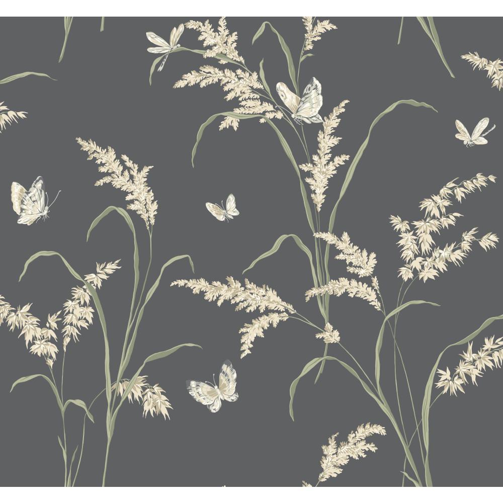 Wallpaper - HD Wallpaper 