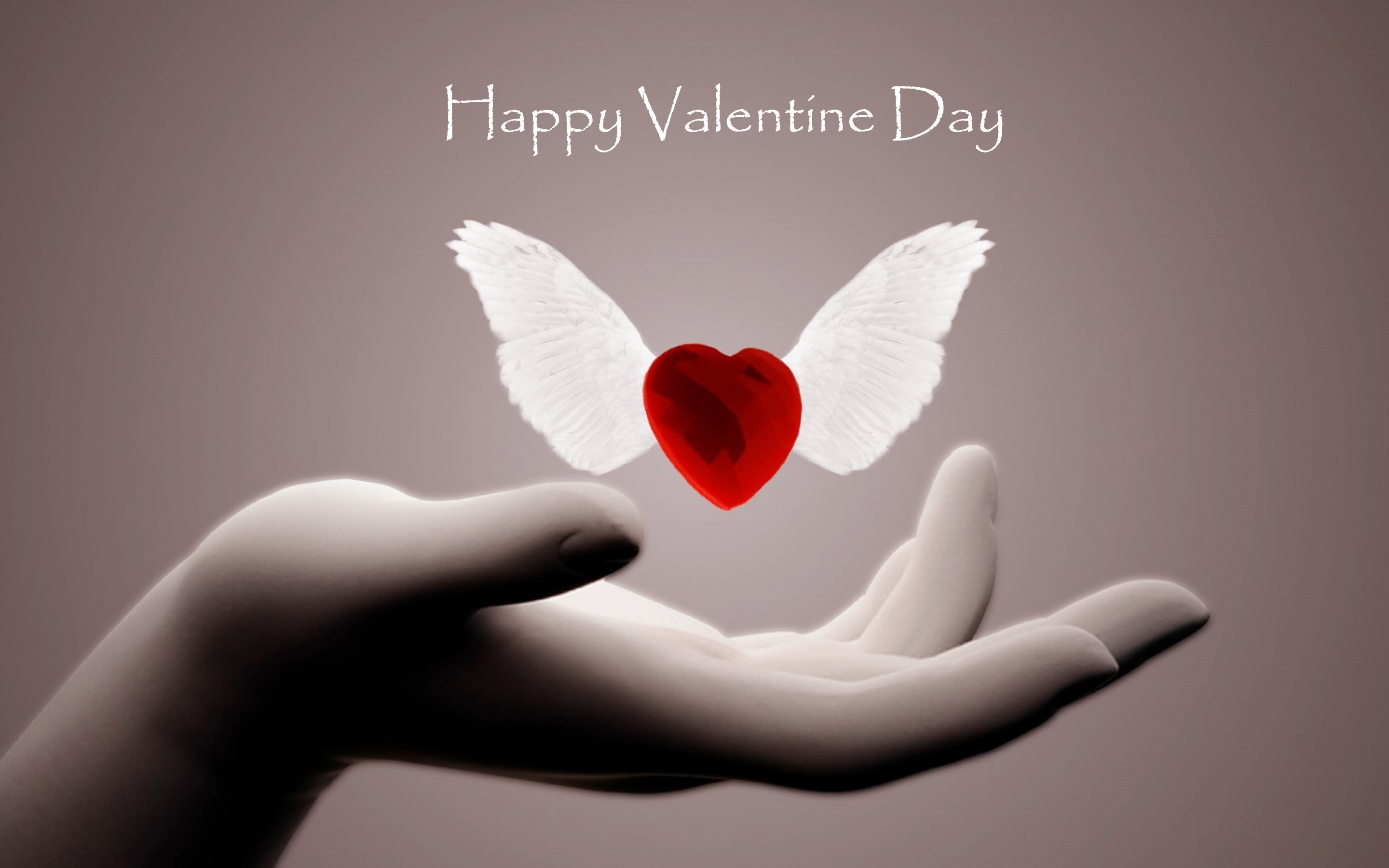 Valentine Day Images Hd - 2880x1800 Wallpaper 