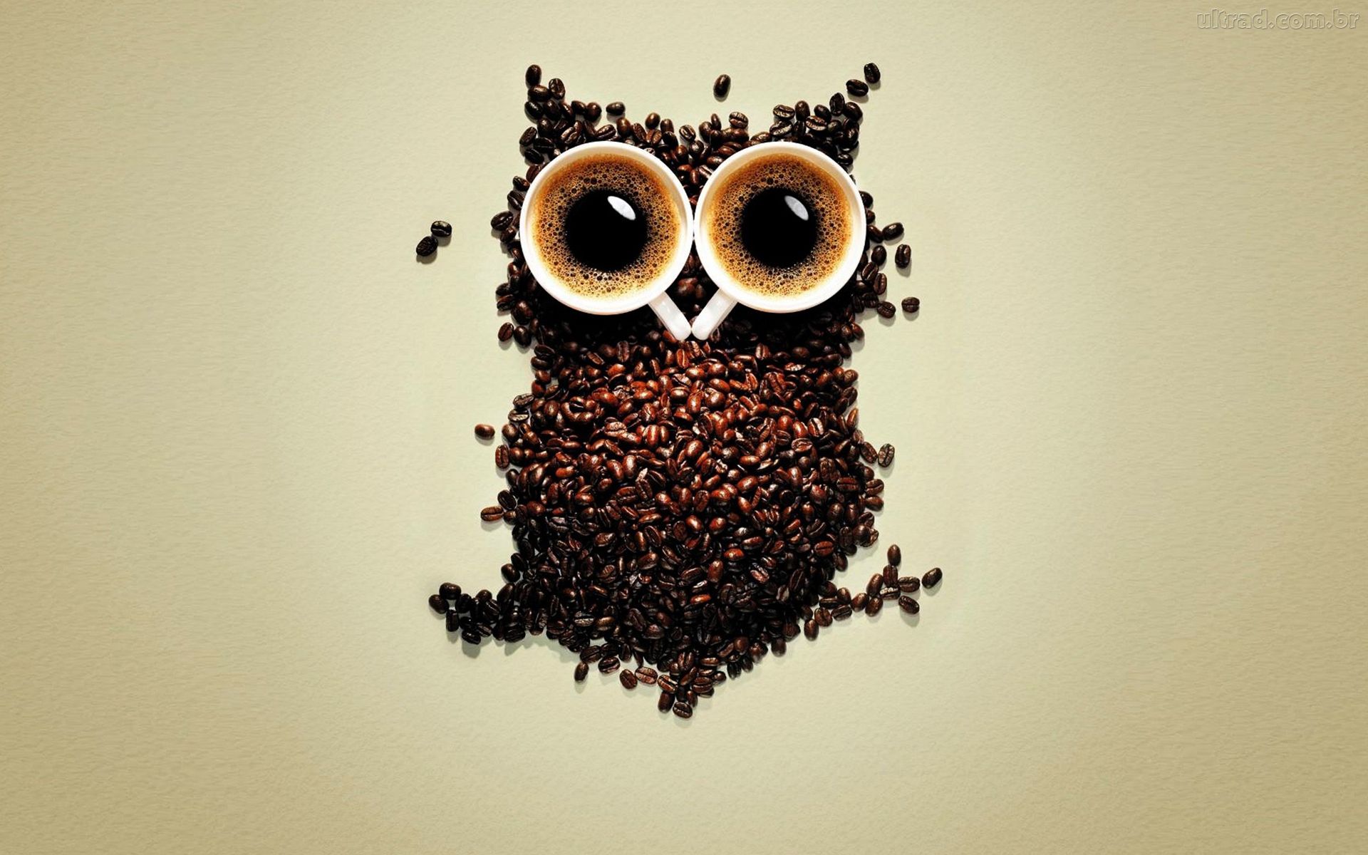 Owl Coffee Art Wallpaper - HD Wallpaper 