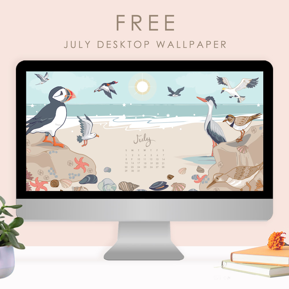 Picture - Seabird - HD Wallpaper 