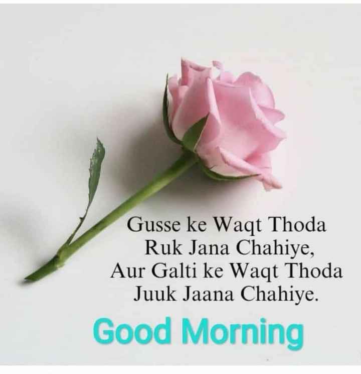 Gusse Ke Waqt Thoda Ruk Jana Chahiye , Aur Galti Ke - Rose Good Night My Love - HD Wallpaper 