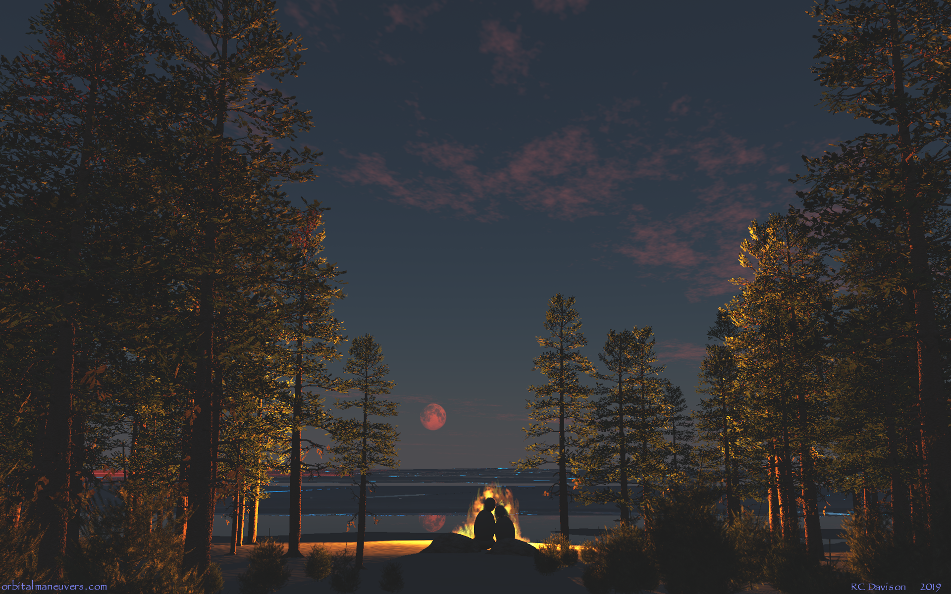 Shortleaf Black Spruce - HD Wallpaper 