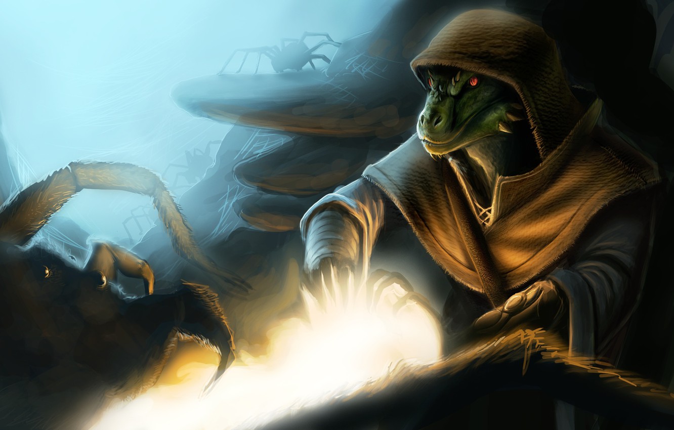 Photo Wallpaper Spider, Skyrim, The Elder Scrolls V, - Skyrim Argonian Wallpaper Phone - HD Wallpaper 