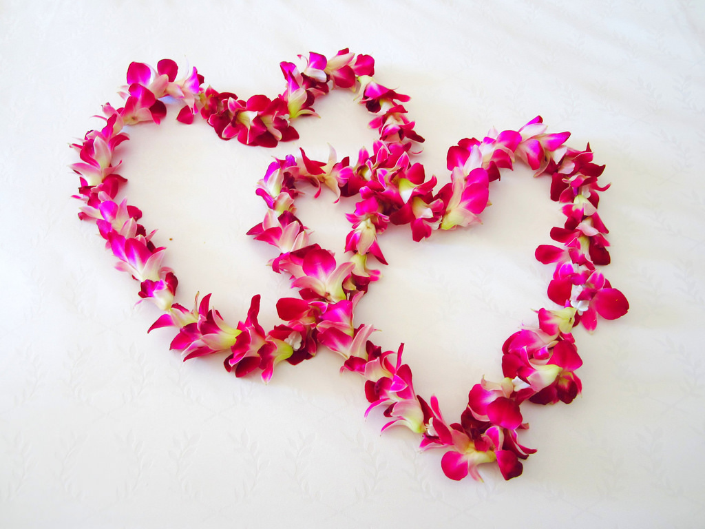 Valentine's Day Is Coming - HD Wallpaper 