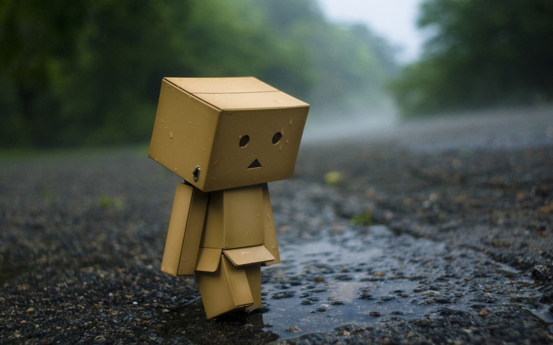 Happy Box - HD Wallpaper 
