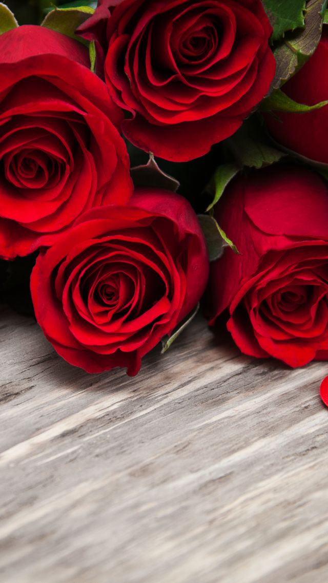 Valentine S Day, February 14, Flowers, Roses, 4k - Rose Wallpaper Hd Download Vertical - HD Wallpaper 