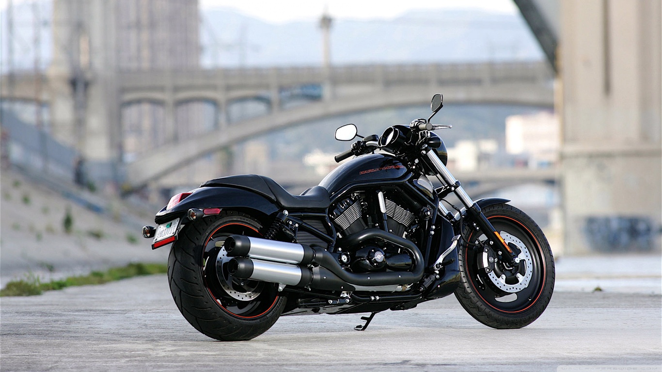 Harley Davidson Night Rod - HD Wallpaper 