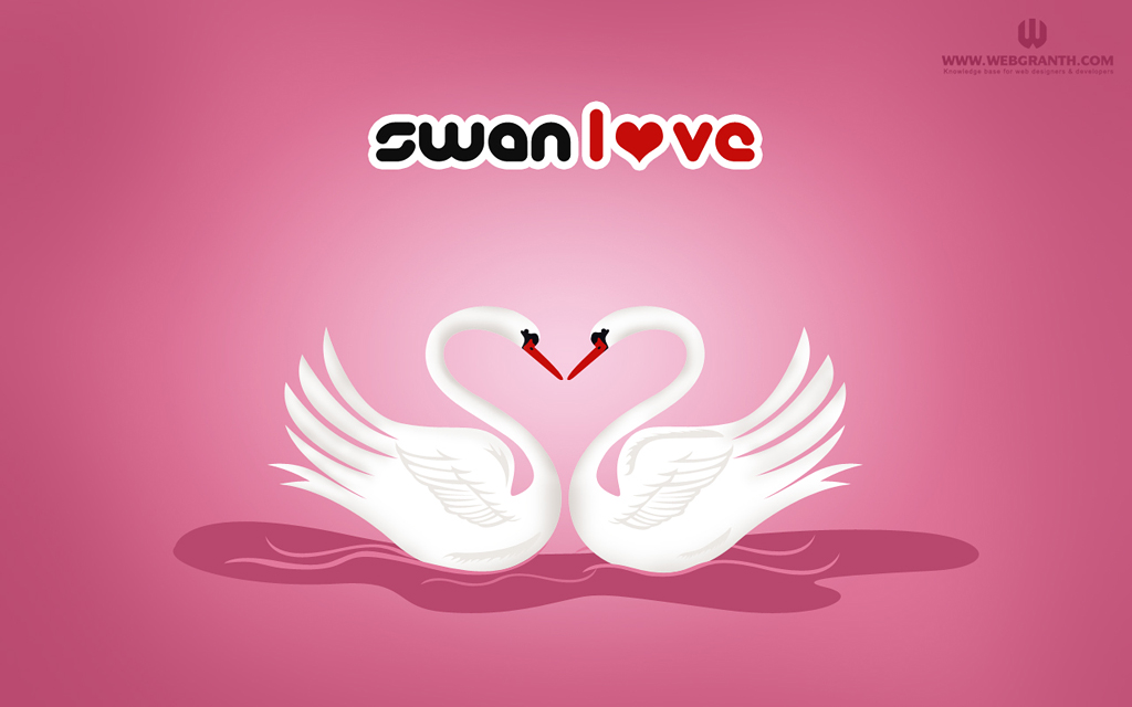 14 February Valentine Day Wallpaper - Water Bird - HD Wallpaper 