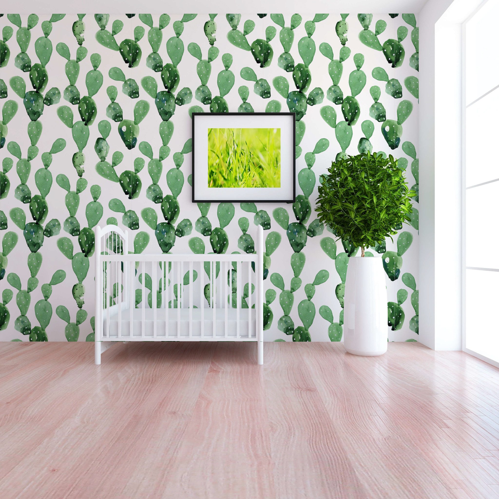 Papel Pintado Cactus Cocina - HD Wallpaper 