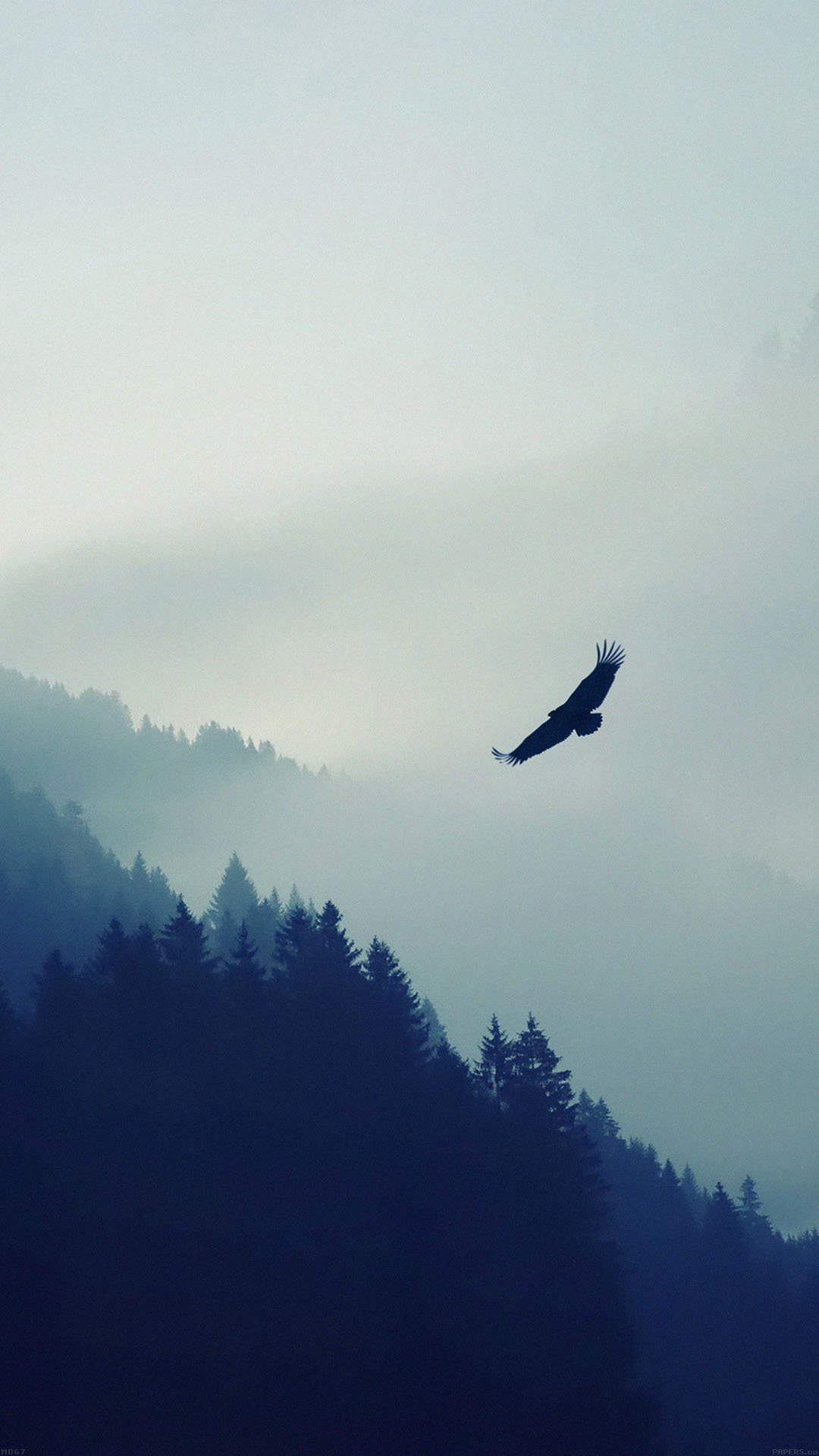 Haalim Novel Best Lines - HD Wallpaper 