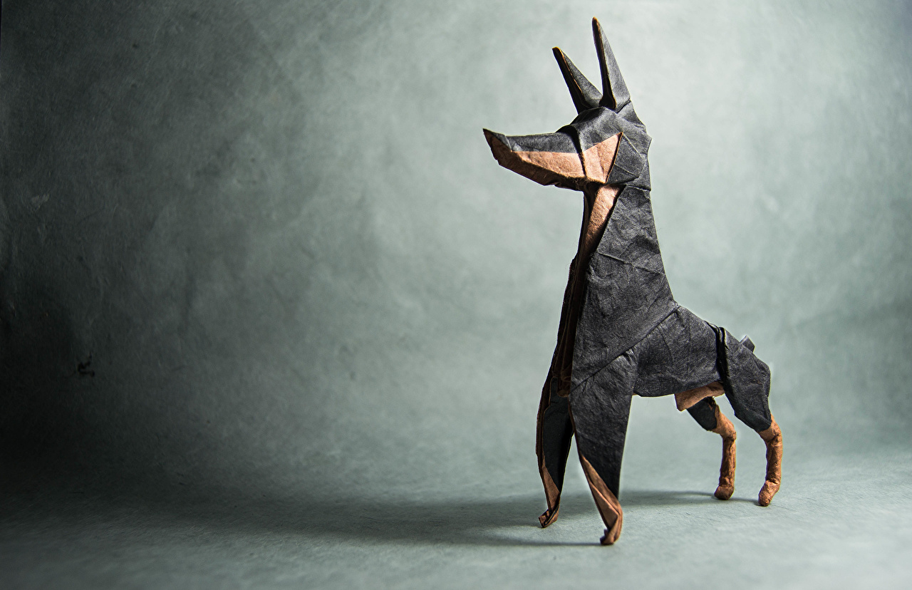 Fondos De Pantalla Doberman - HD Wallpaper 