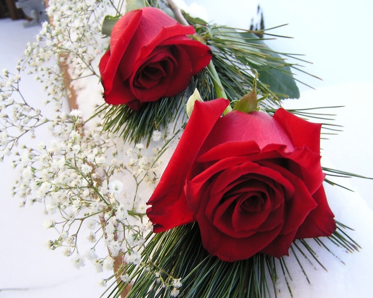 Red Roses - Roses Most Beautiful Flowers - HD Wallpaper 