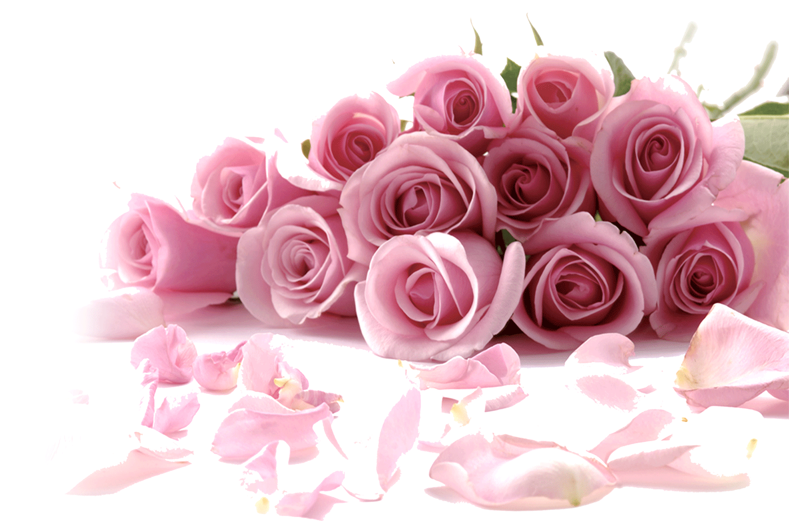 Rose Flower Wallpaper - Beautiful Happy Valentines Day - HD Wallpaper 