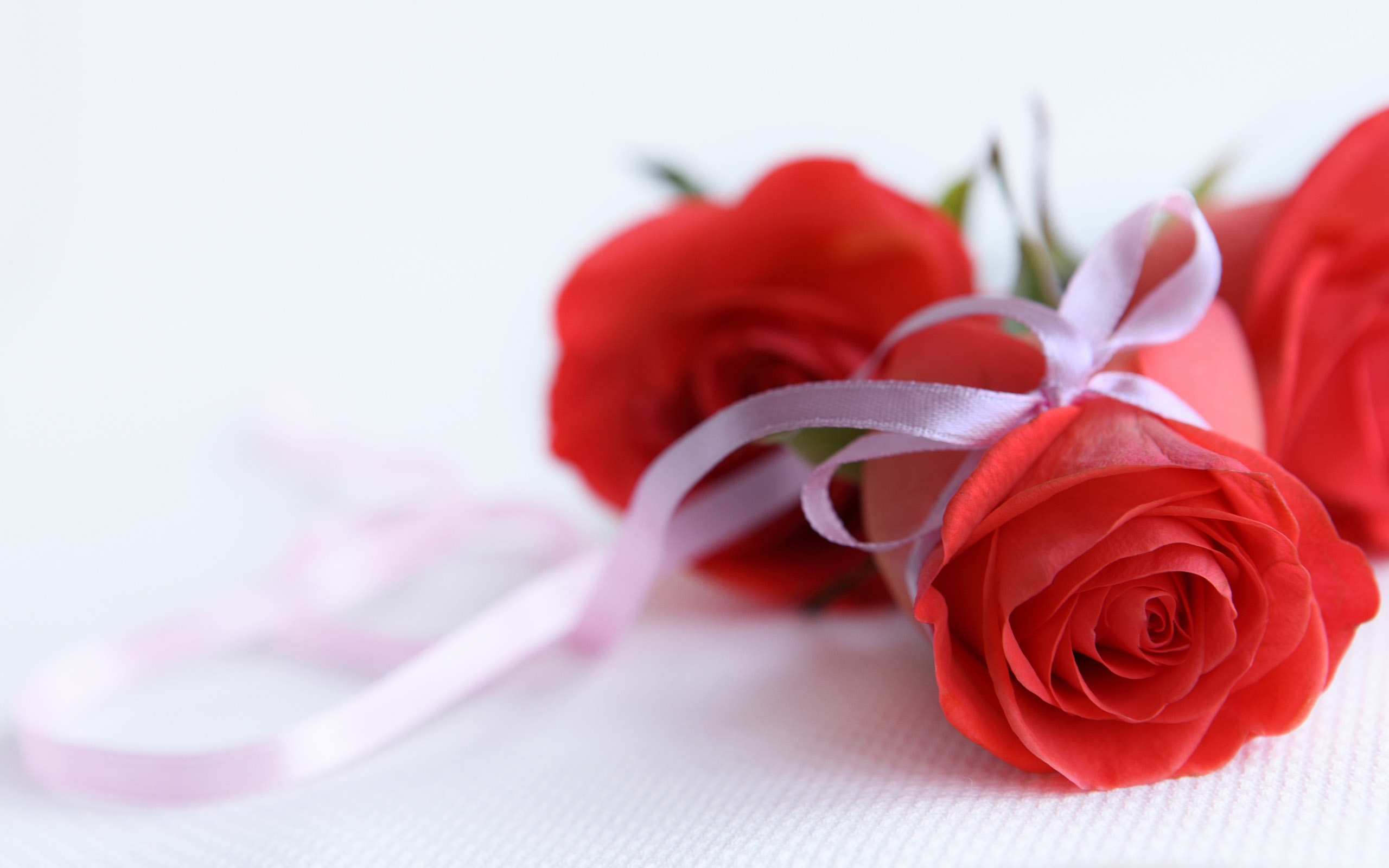 Love Flower Wallpaper For Desktop - HD Wallpaper 