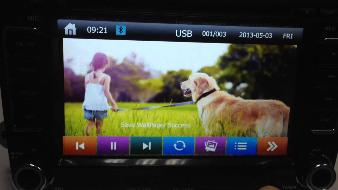 Value The Animals - HD Wallpaper 