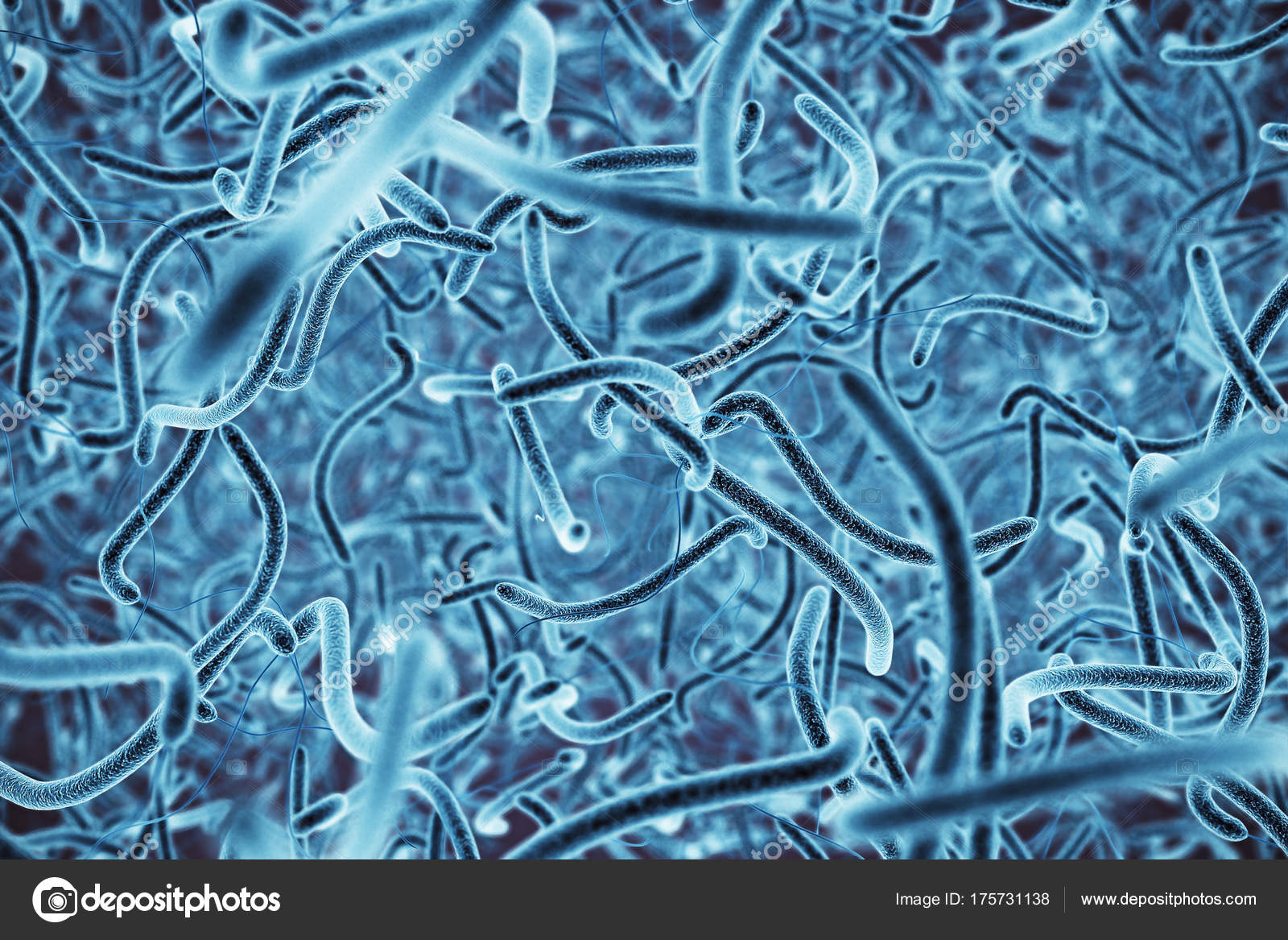 Bacteria - HD Wallpaper 