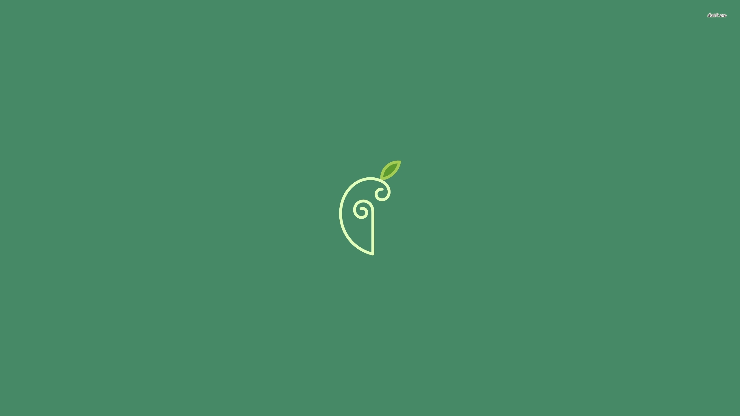 Grass - HD Wallpaper 