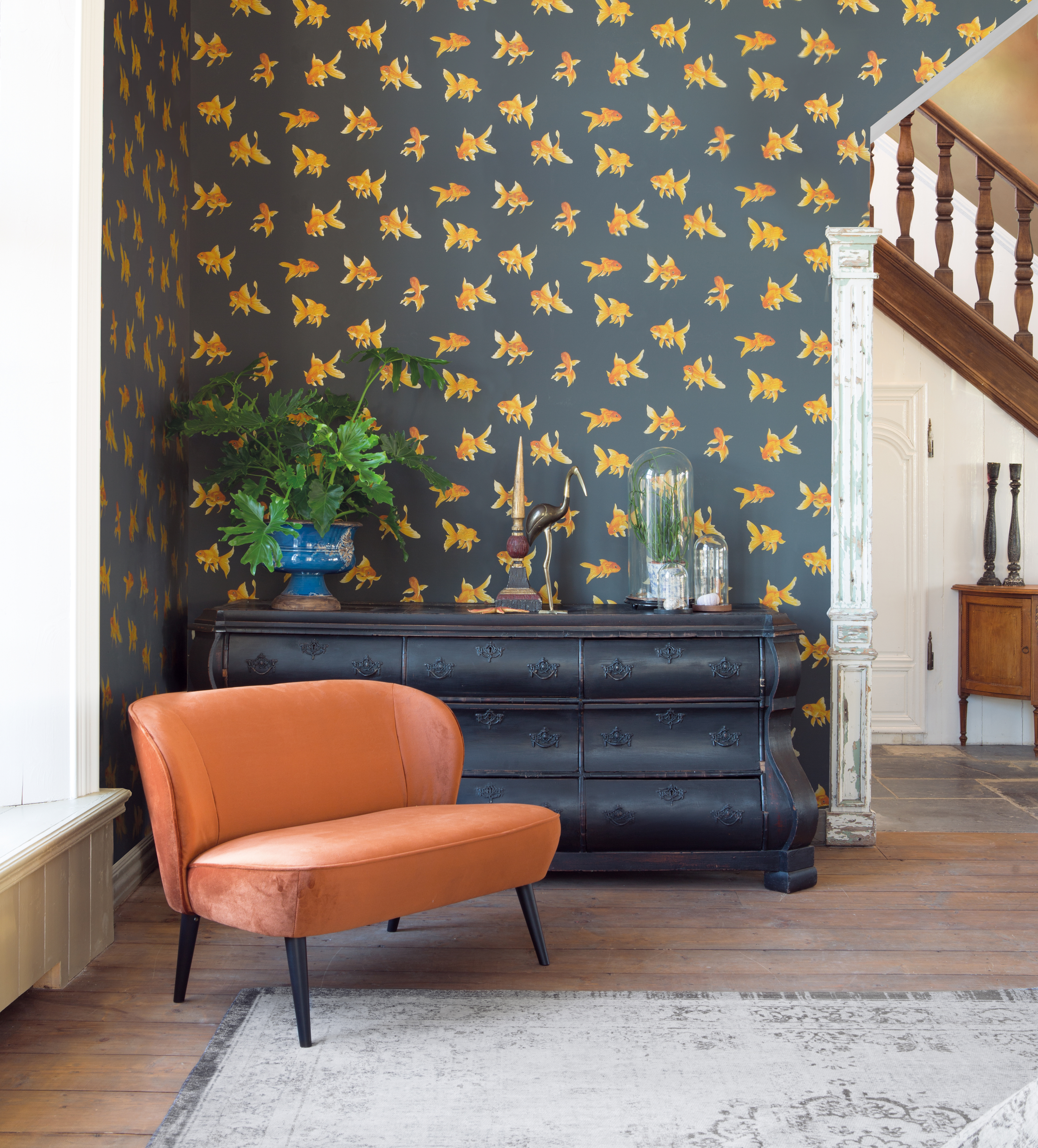 Goldfish Wallpaper For Walls - HD Wallpaper 