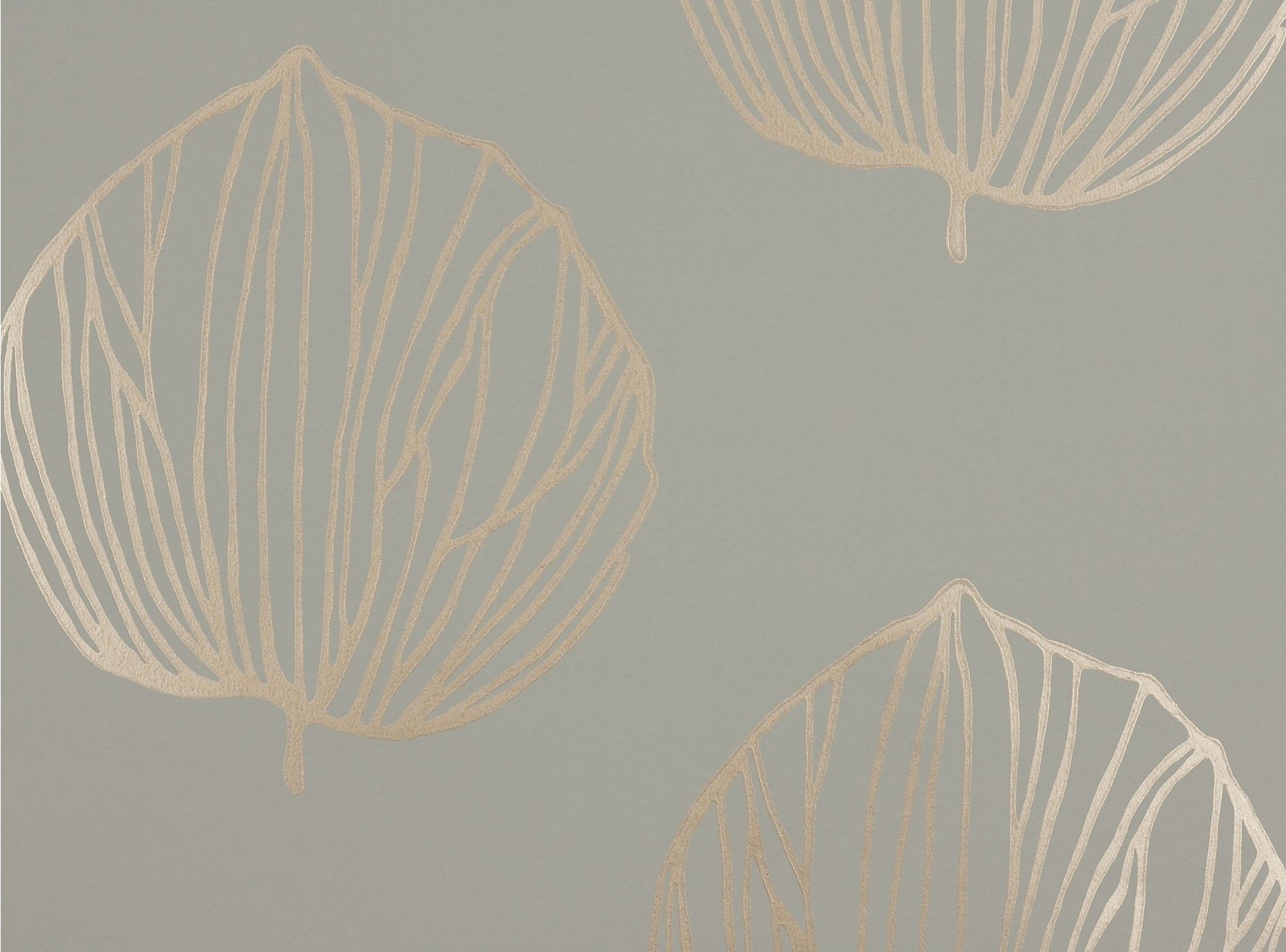 Wallpaper - HD Wallpaper 