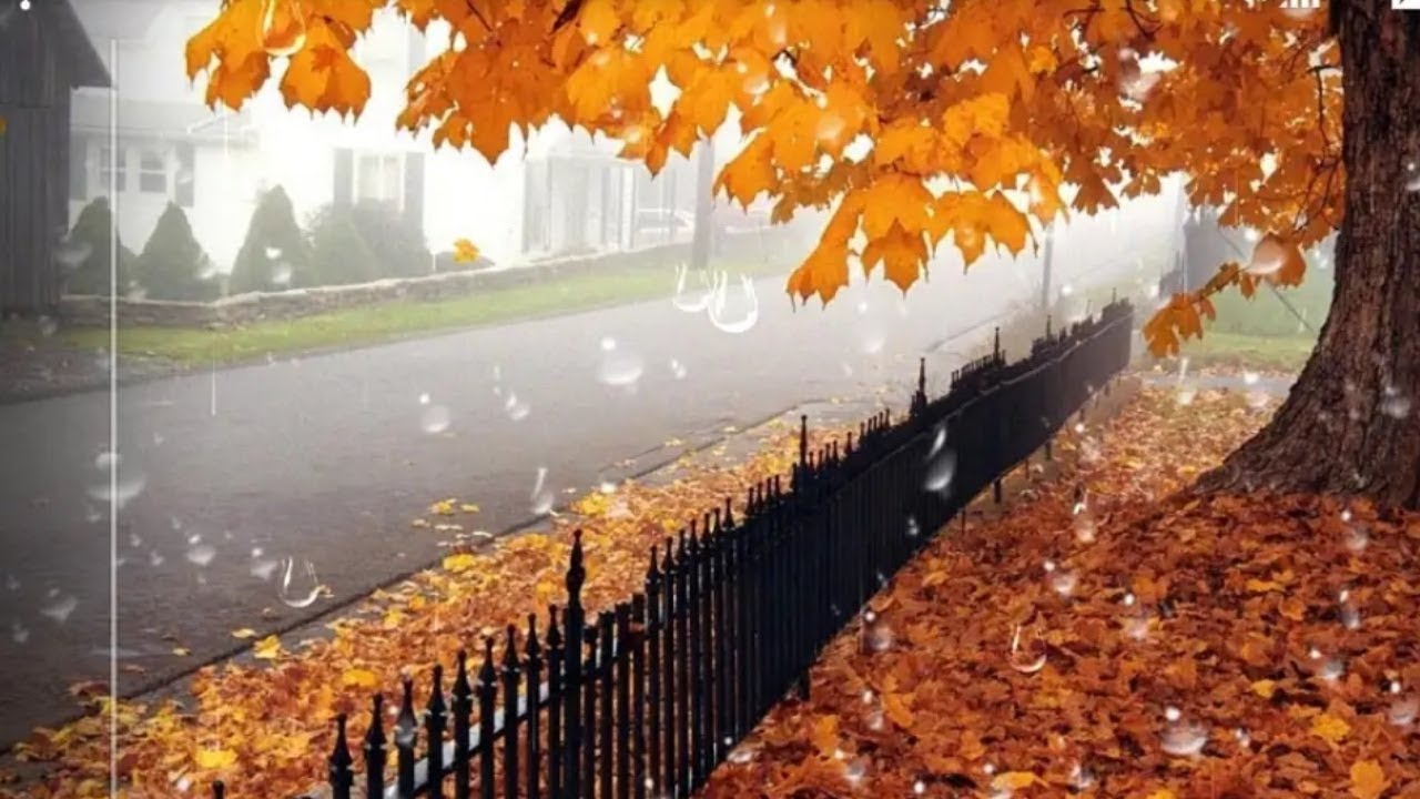 Заставка На Робочий Стіл Осінь - HD Wallpaper 