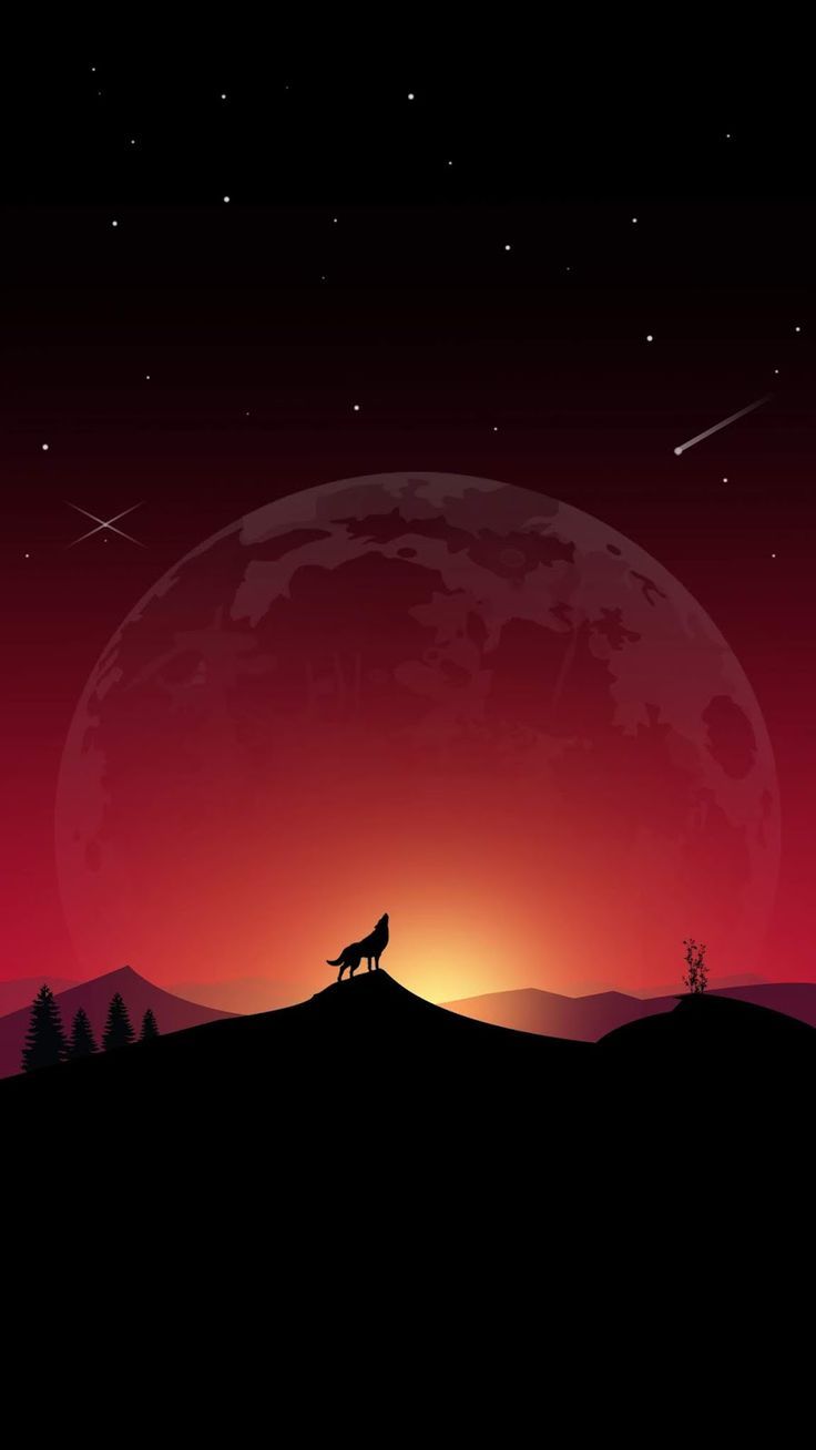 Wolf Background For Iphone - HD Wallpaper 
