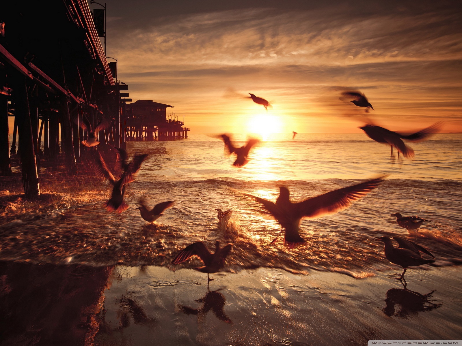 Fearless Motivation Never Give Up Extended Epic Music - HD Wallpaper 