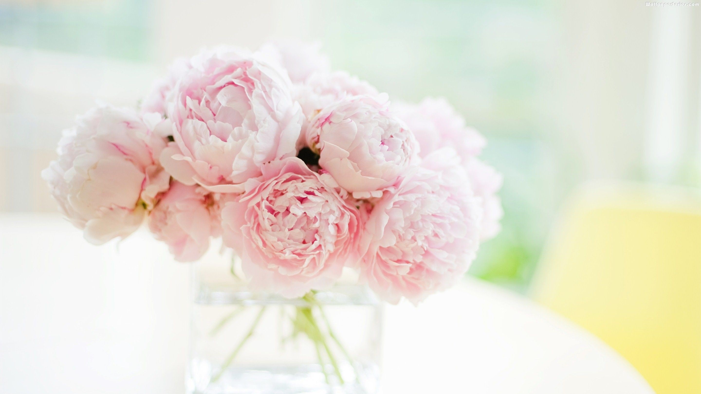 2880x1620, Peonies Bouquet Wallpaper 7361 Data Id - Peony Desktop
