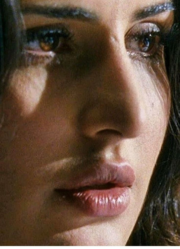 Close-up - HD Wallpaper 