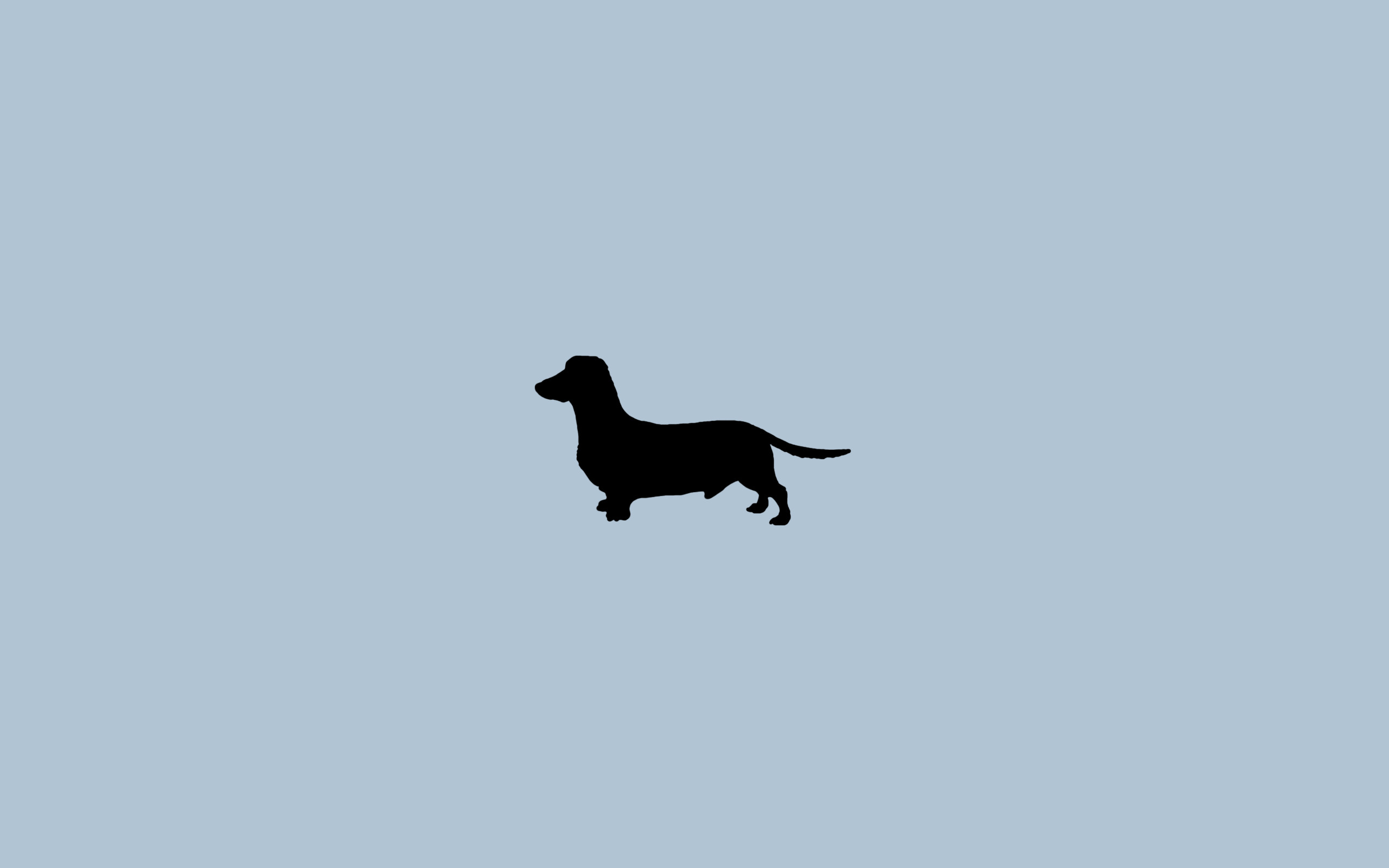 Download Minimalistic Dogs Wallpaper - Dachshund Silhouette - 2560x1600