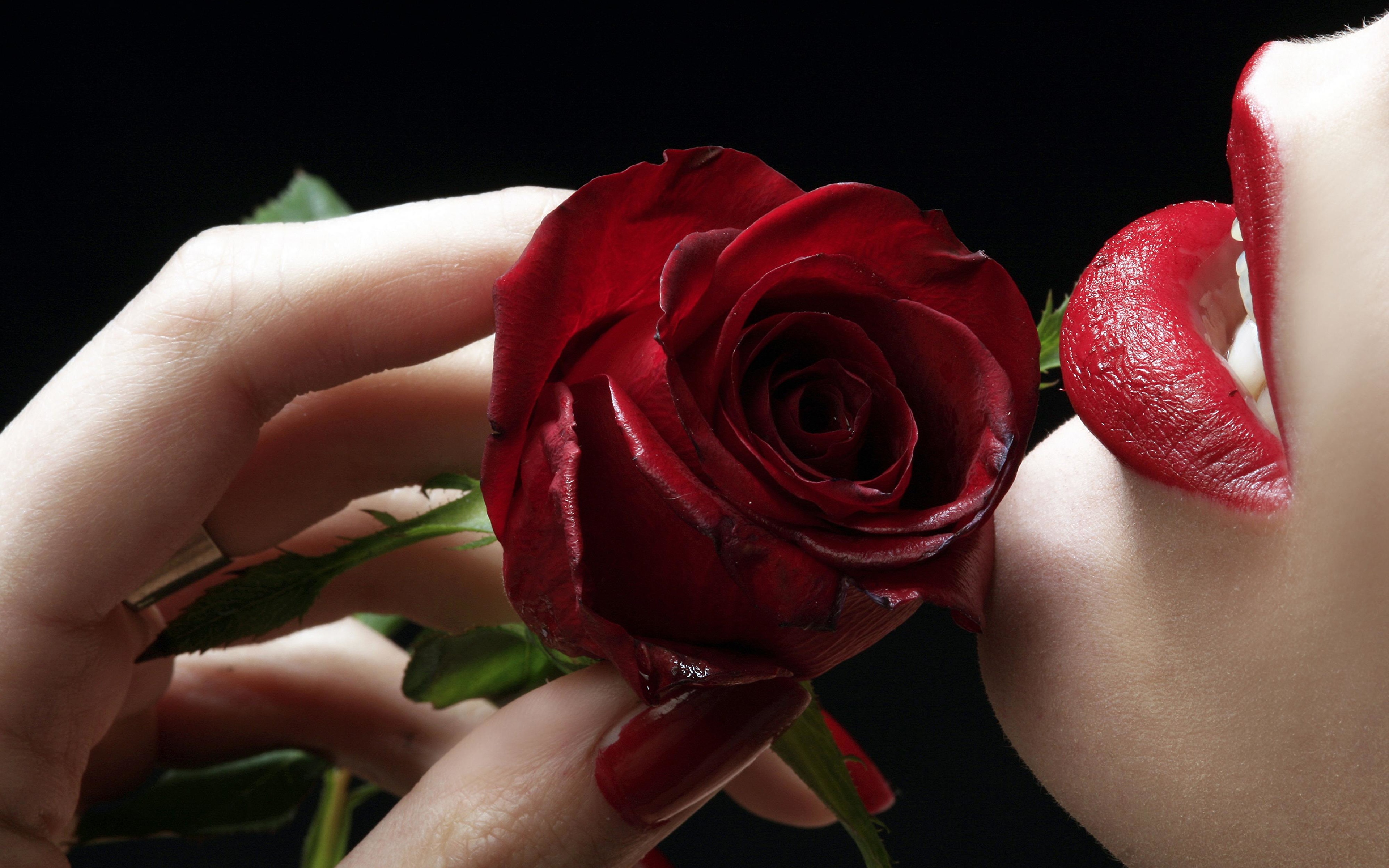 Rose And Lips - HD Wallpaper 