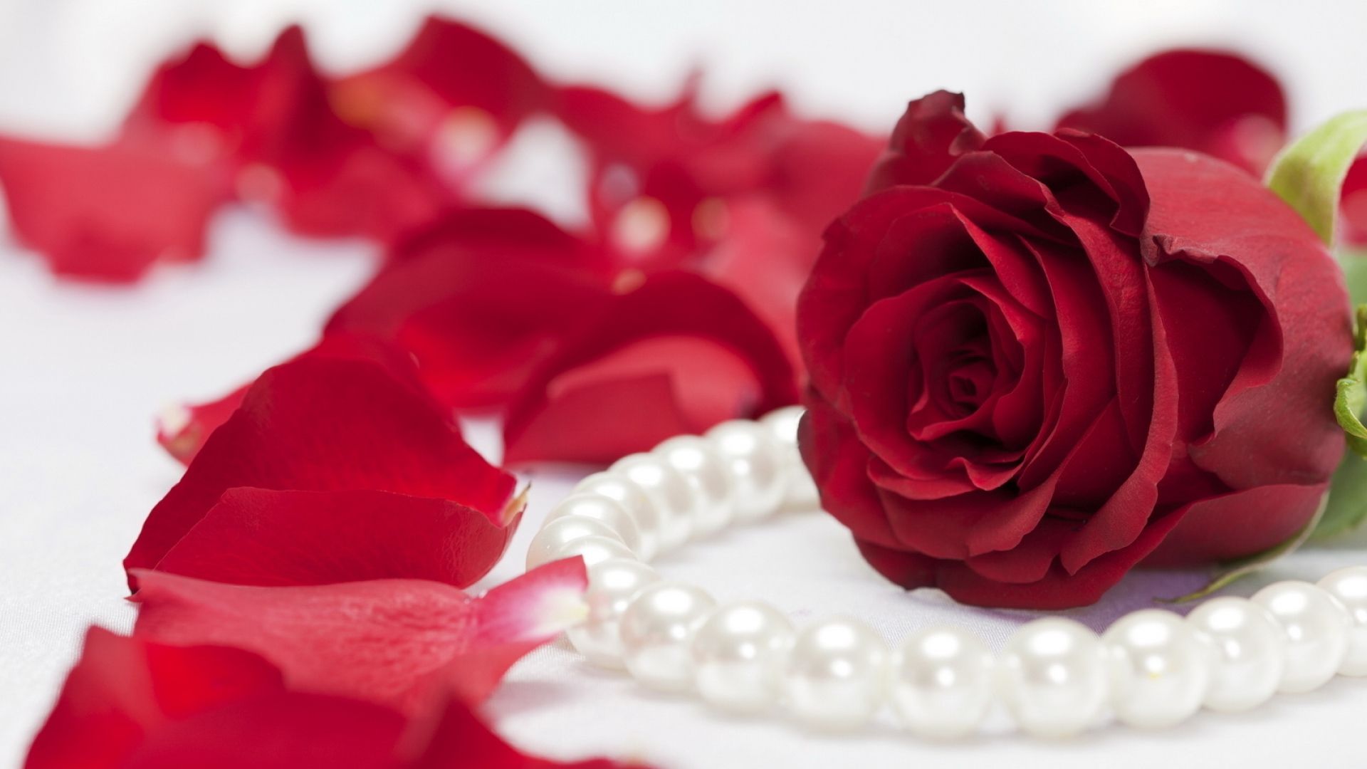 Download Wallpaper Rose, Flower, Pearls, Jewelry, Petals - Romantic Wedding Anniversary Wishes For Husband - HD Wallpaper 