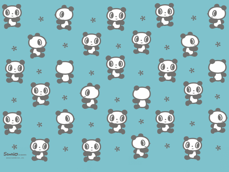 Panda Background - HD Wallpaper 