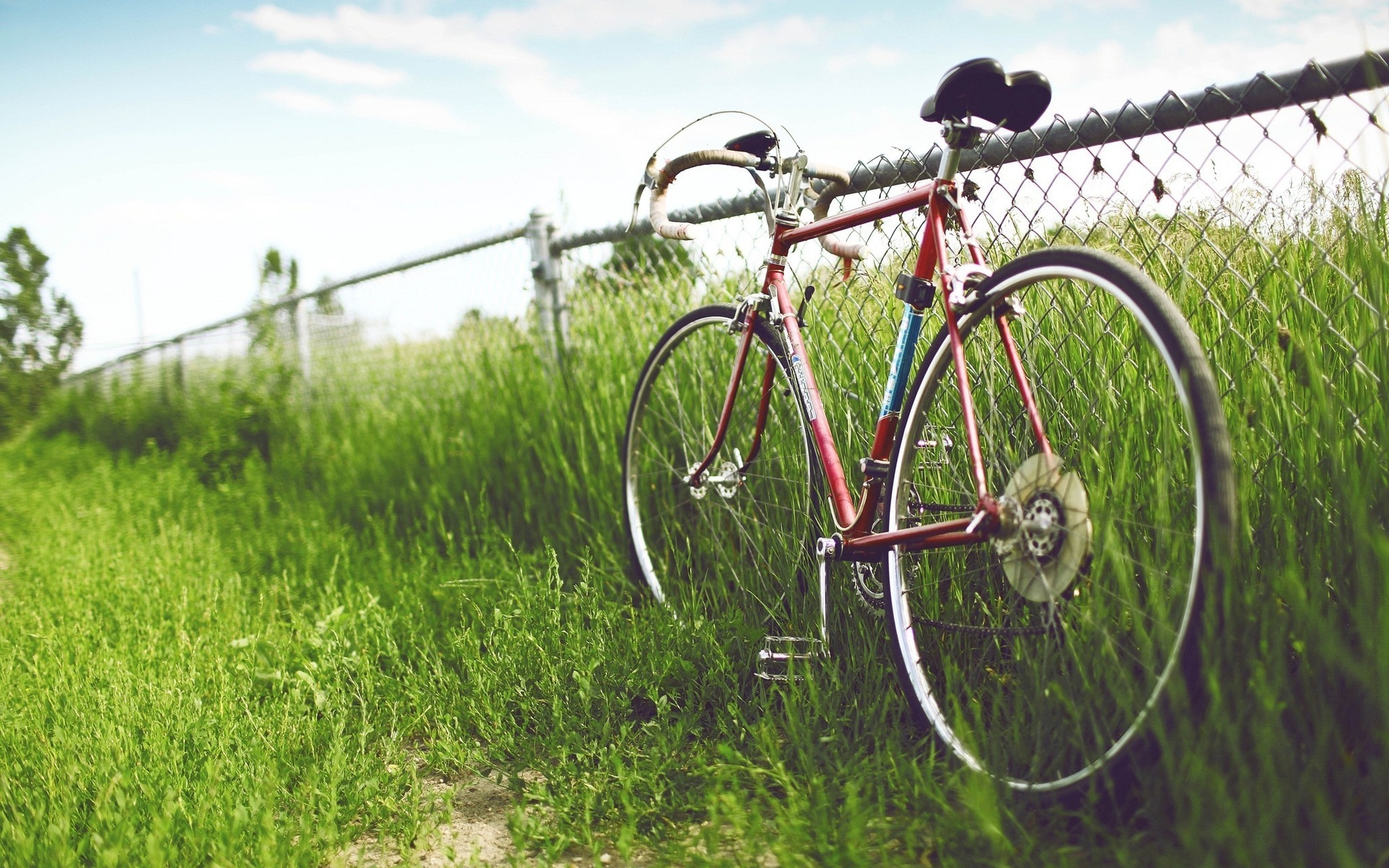 Lovely Bicycle Wallpaper - HD Wallpaper 