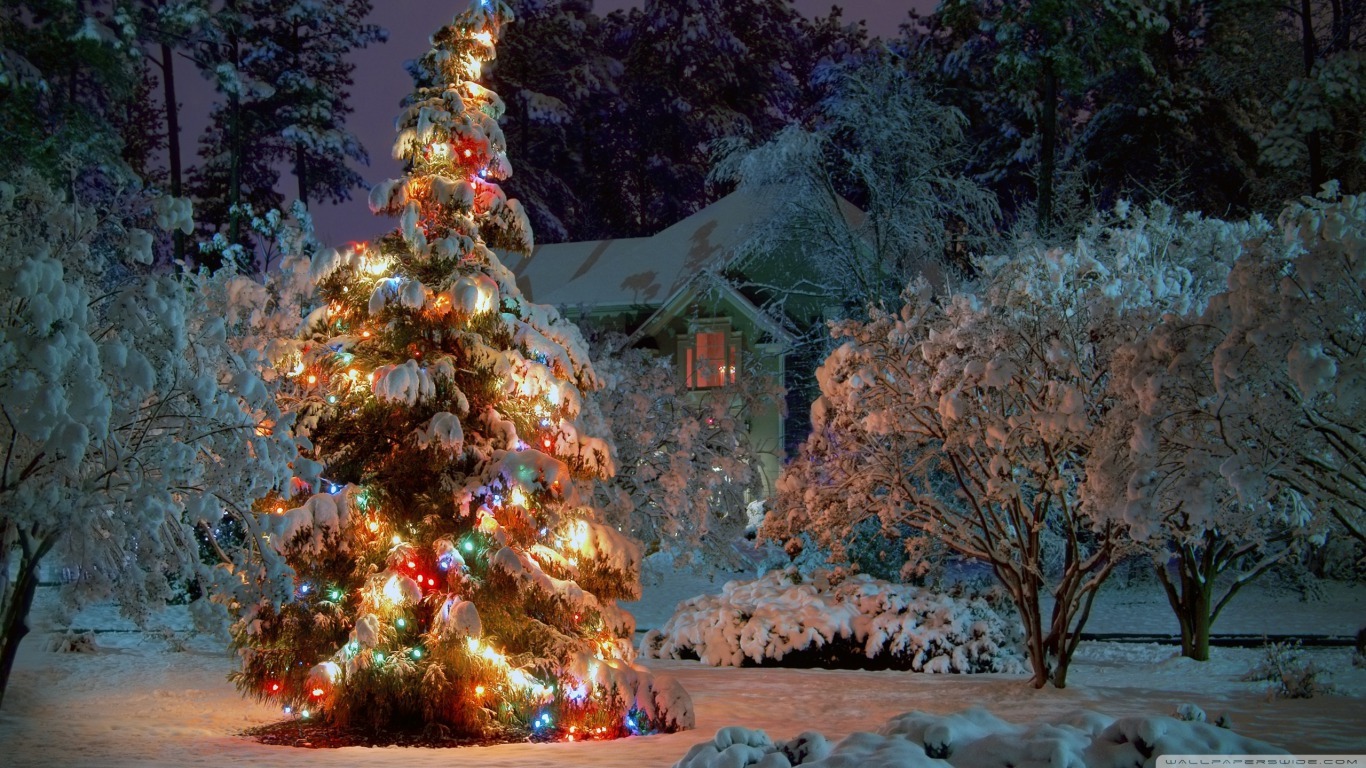 Outdoor Christmas Tree Wallpapers - Lighted Christmas Tree In Snow - HD Wallpaper 