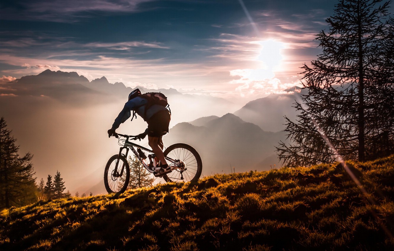 Photo Wallpaper Sport, Forest, Bicycle, Twilight, Sky, - Bicycle Wallpaper Mountain - HD Wallpaper 