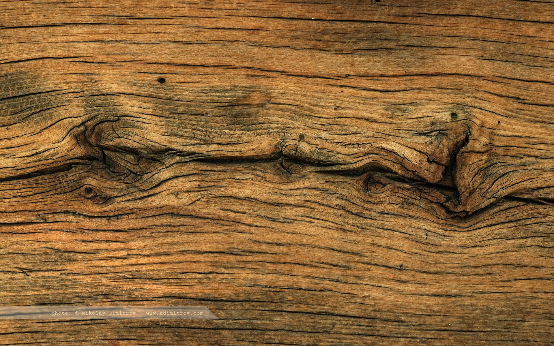 Hd Wood Wallpapers For Free Download - Oak Wood Wallpaper Hd - HD Wallpaper 