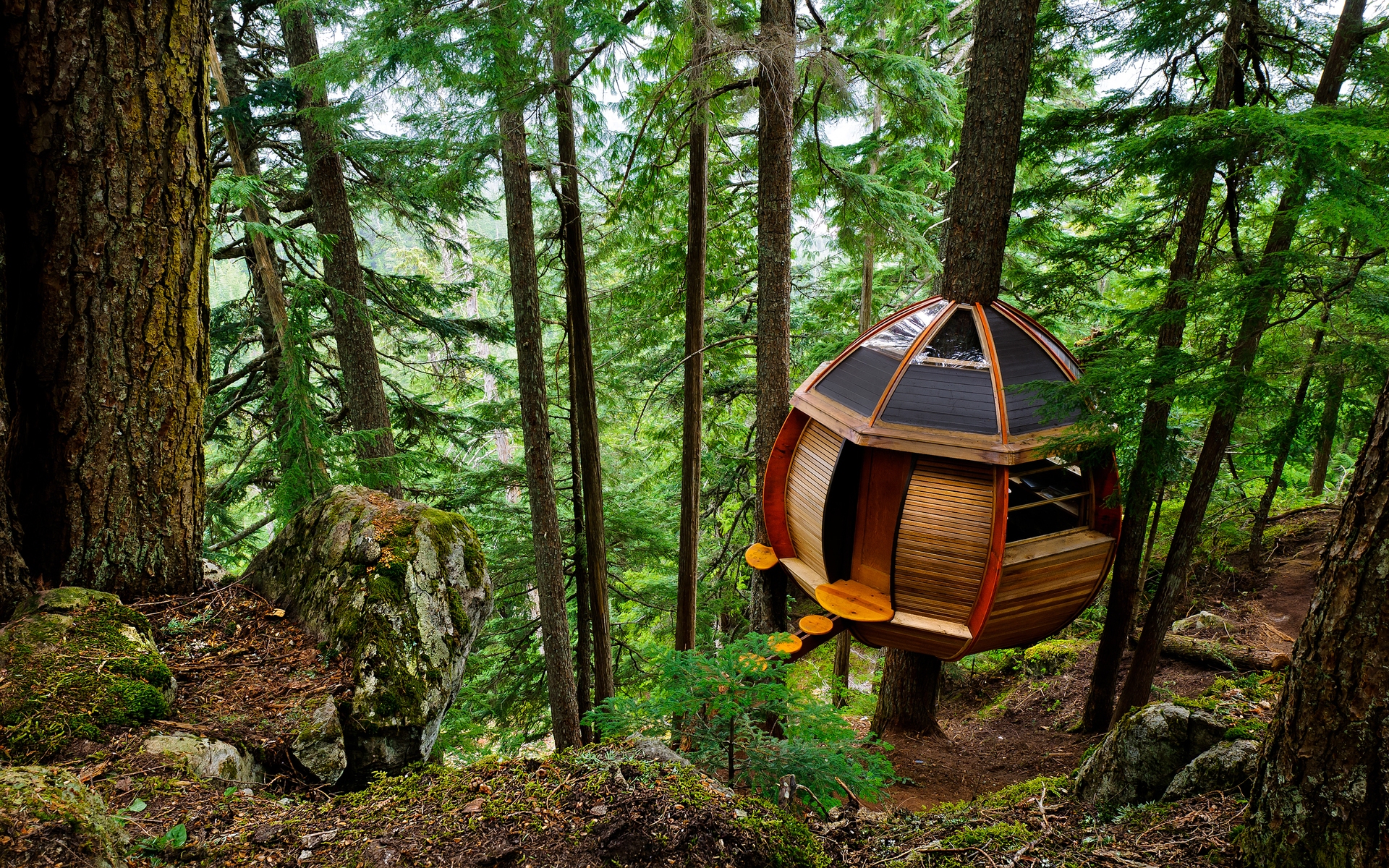 Hemloft Treehouse - HD Wallpaper 