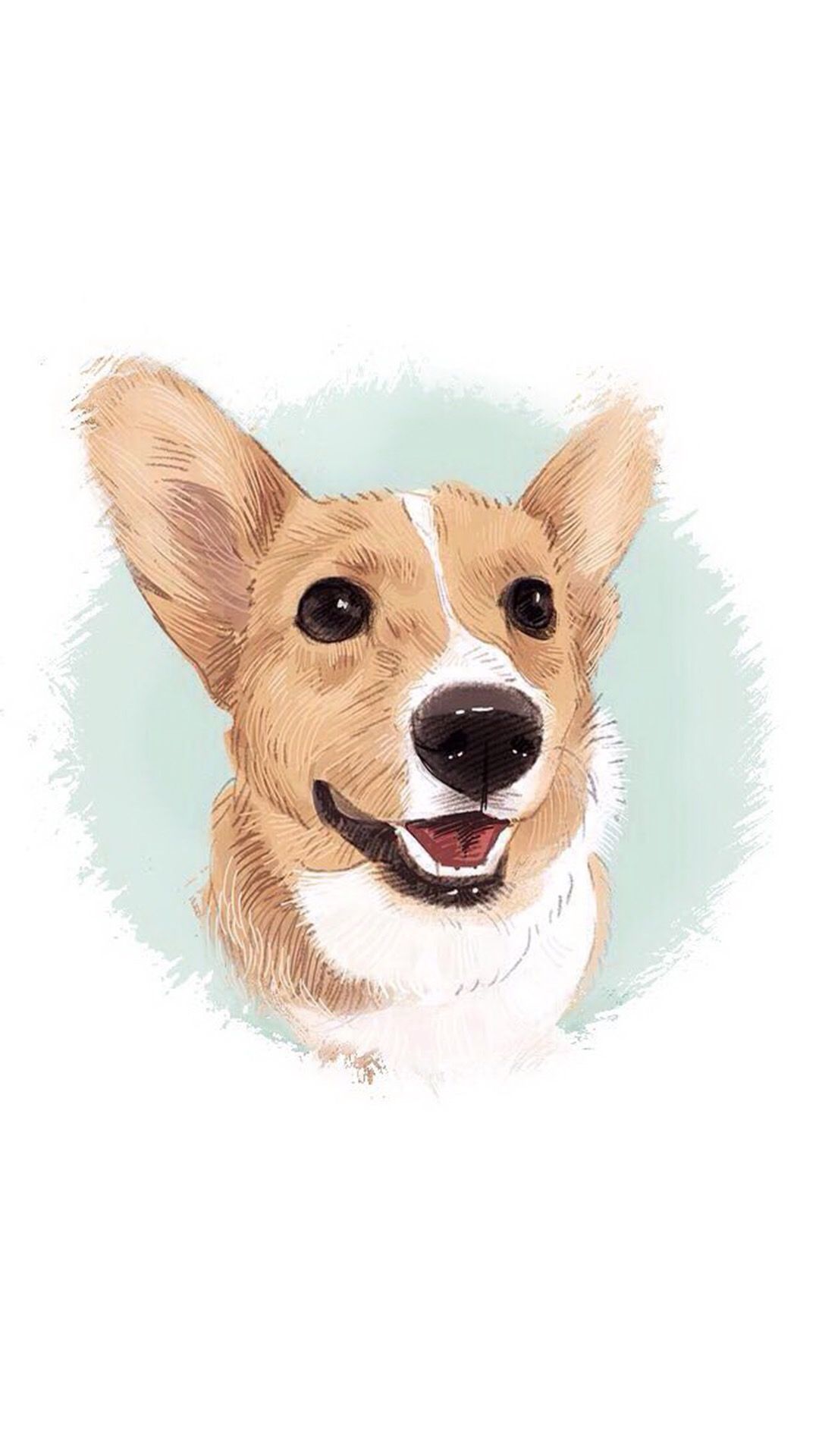 Corgi Wallpaper Hd Iphone - HD Wallpaper 