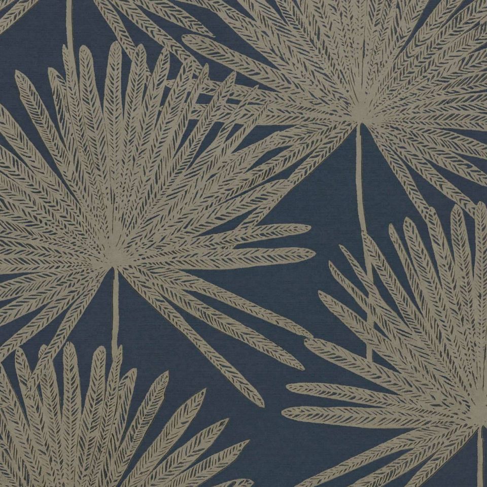 Romo Pacaya - HD Wallpaper 