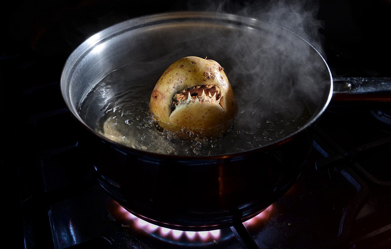 Photo Wallpaper Food, Teeth, Burner, Mouth, Gas, Pan, - Potato Shark - HD Wallpaper 