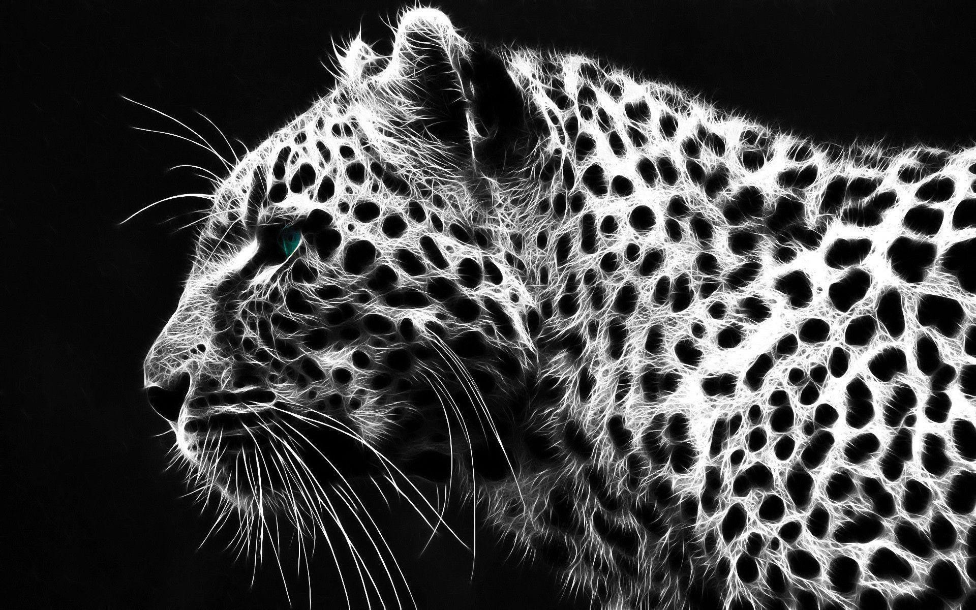1920x1200, Black Cheetah Wallpapers - Cheetah Black And White - HD Wallpaper 