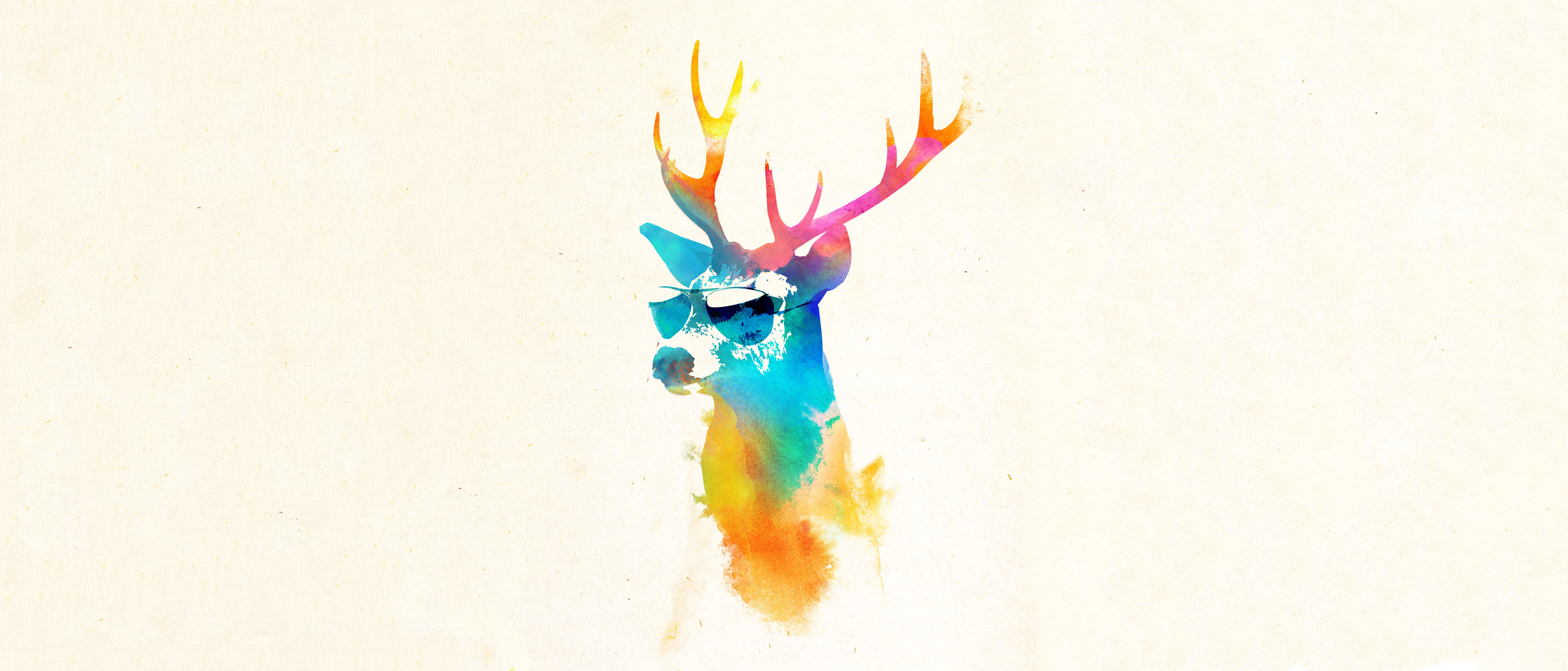 Sunny Deer - HD Wallpaper 