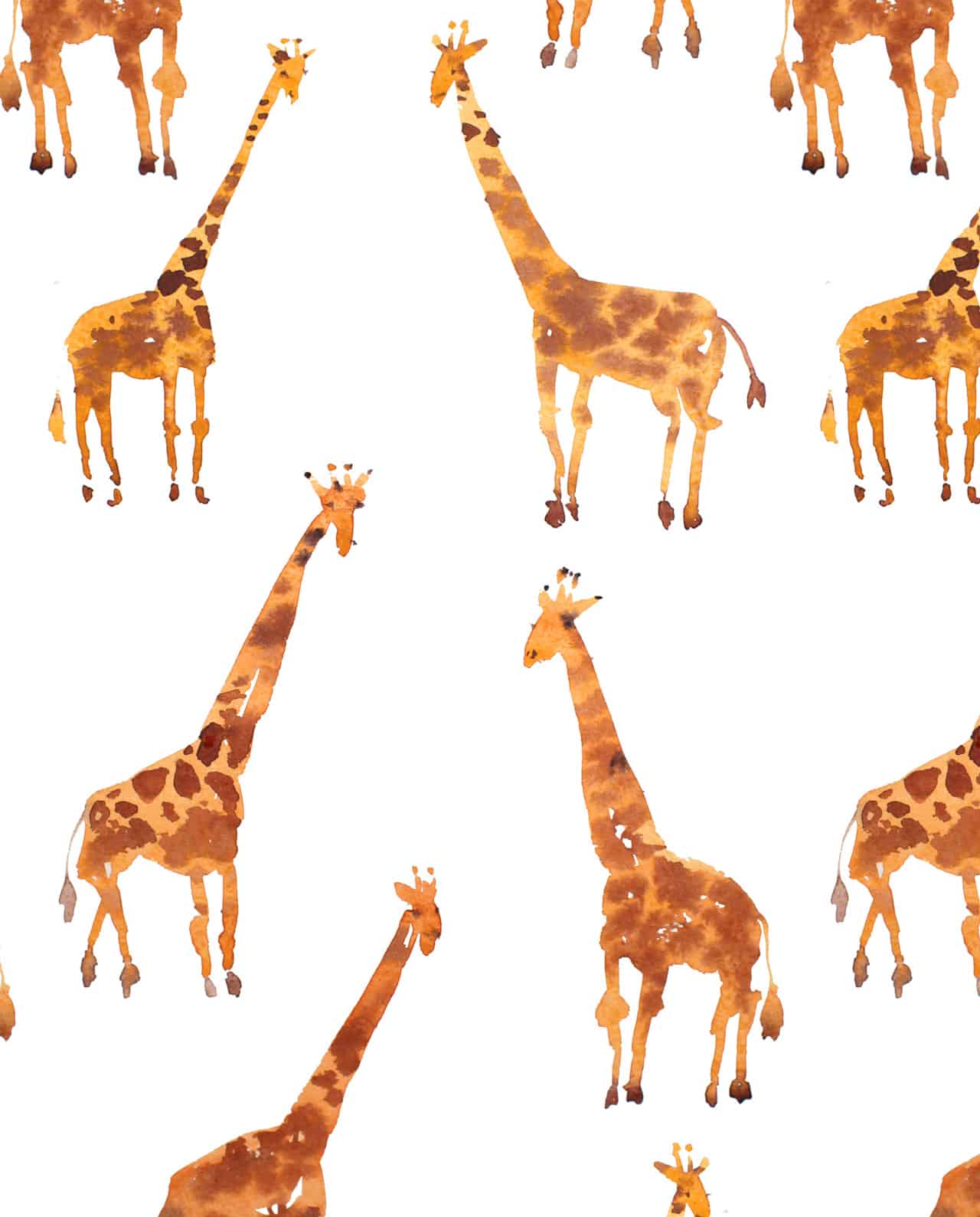 Giraffe Wall Paper - HD Wallpaper 
