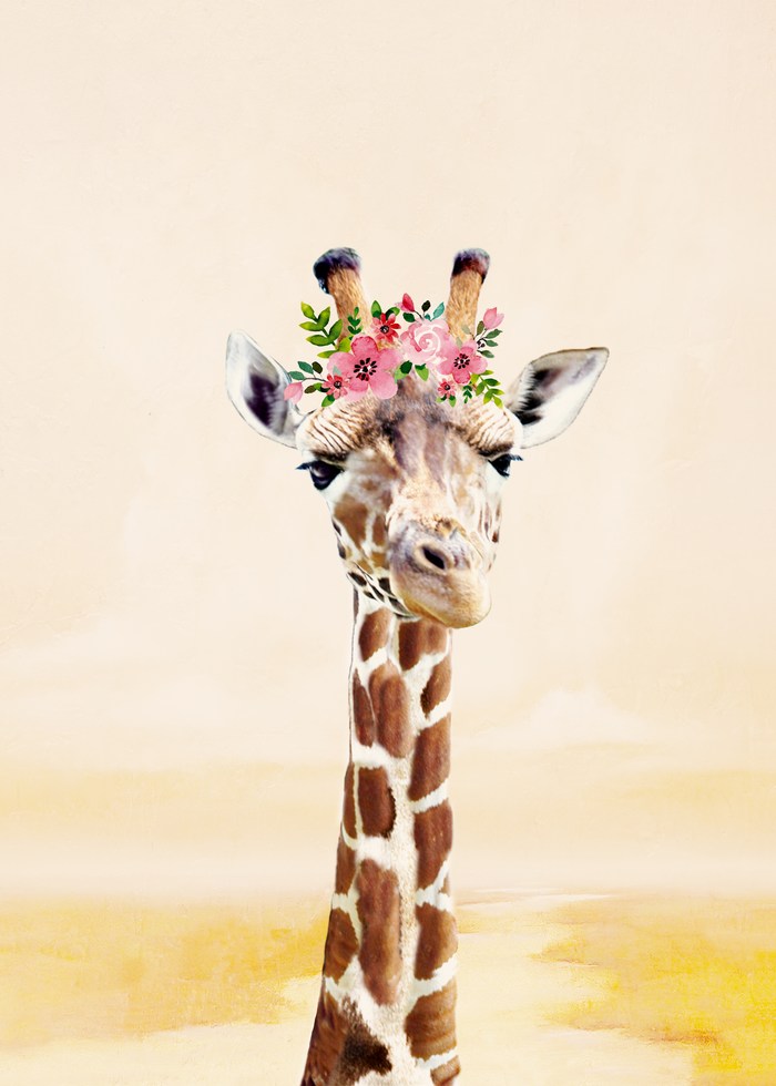 Giraffe Shower Curtain - HD Wallpaper 